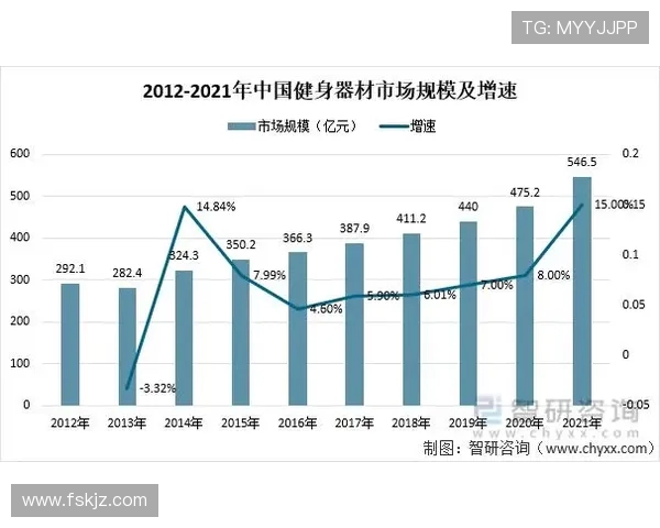 高端大气健身器材品牌及市场趋势分析
